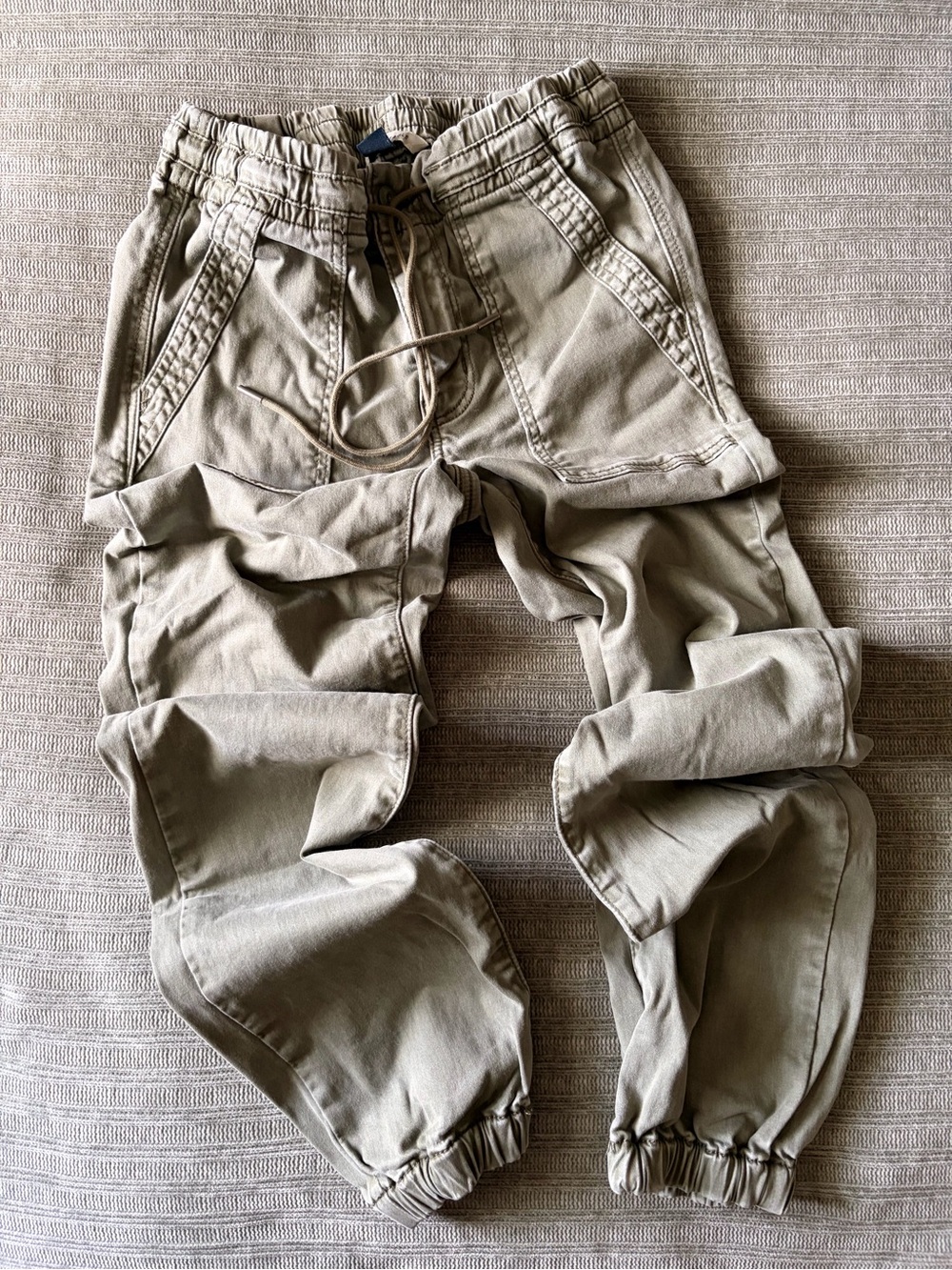 American Eagle Cargo Joggers